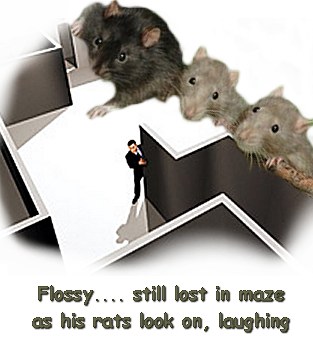 flossy maze.jpg flossy maze.jpg