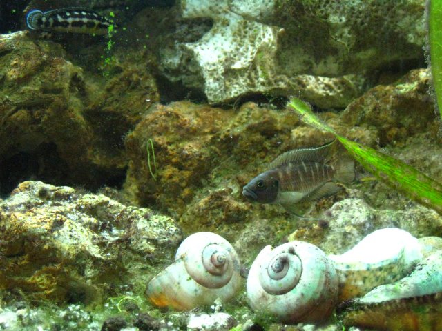 IMG_1119.JPG