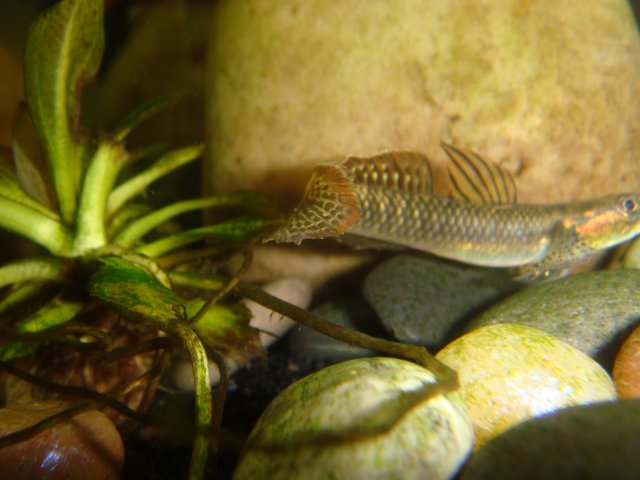 DSC02900.JPG