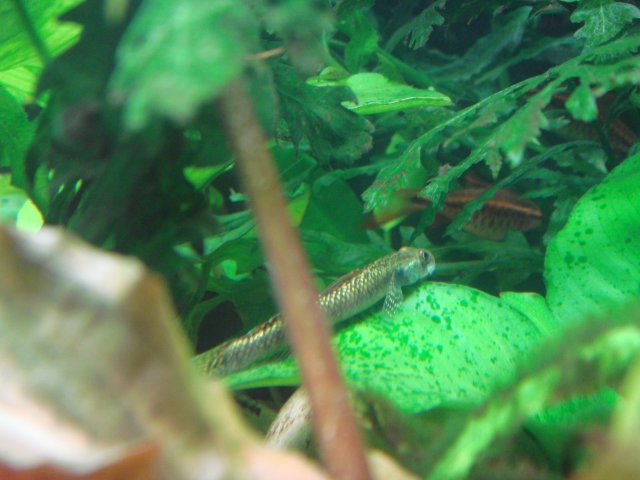 DSC02910.JPG
