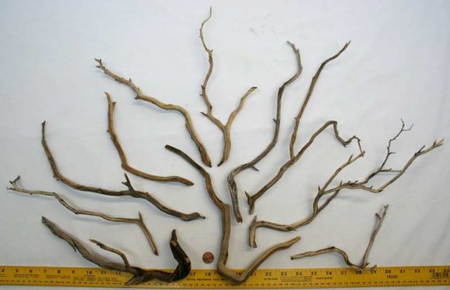 NANO PKG 162 OVERALL0001.JPG