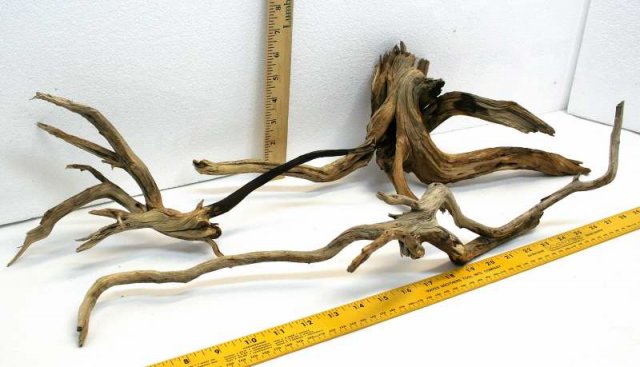 NANO STUMP PKG 36 SIDE0001.JPG