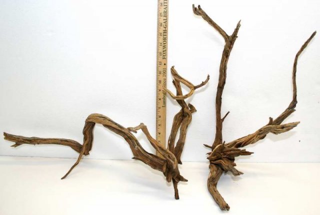 MED STUMP PKG 31 OVERALL0001.JPG