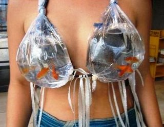 gold-fish-bra.jpg gold-fish-bra.jpg