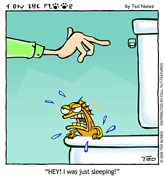 funny-fish.gif funny-fish.gif