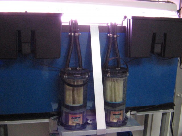 IMG_0012.JPG