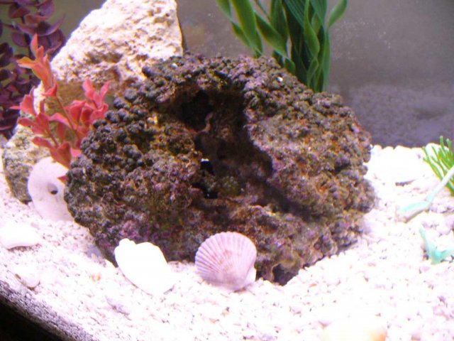 P1040210.JPG