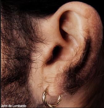 Hairy ear01.jpg