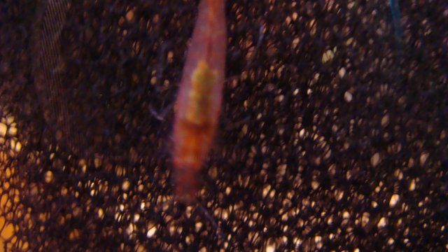 DSC05779.JPG