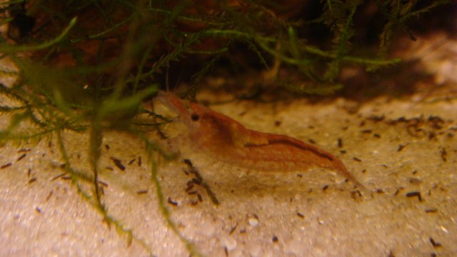 DSC05783.JPG