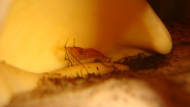 DSC05785.JPG