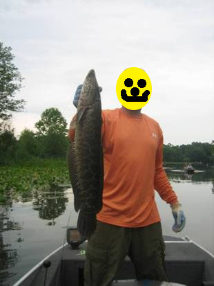Fish.jpg