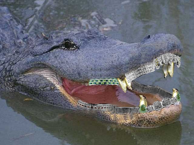 pimpin_gator.jpg