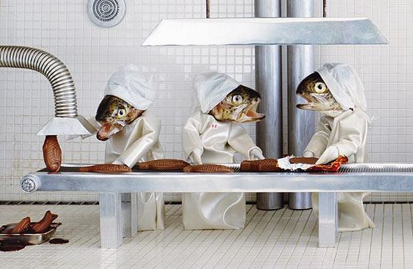 funny-fish_4.jpg