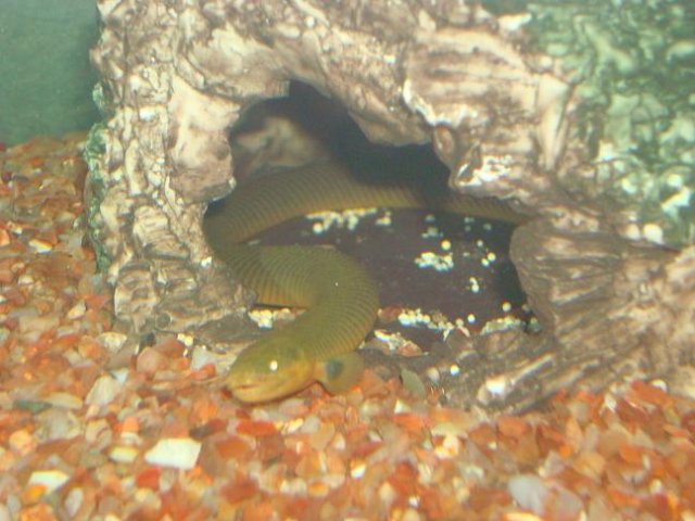 dsc05506_163.jpg