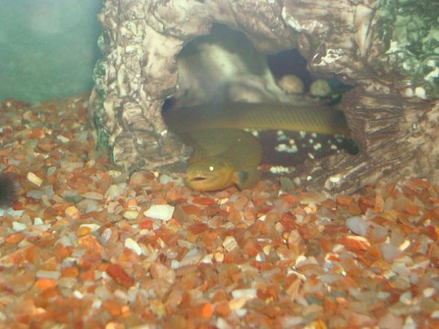 dsc05507_142.jpg