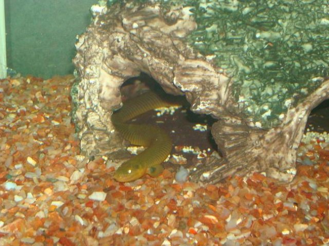 dsc05514_127.jpg