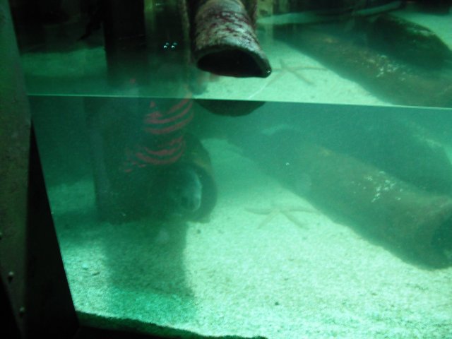 DSCF0010.JPG