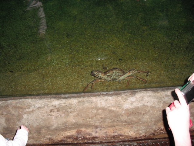 DSCF0020.JPG