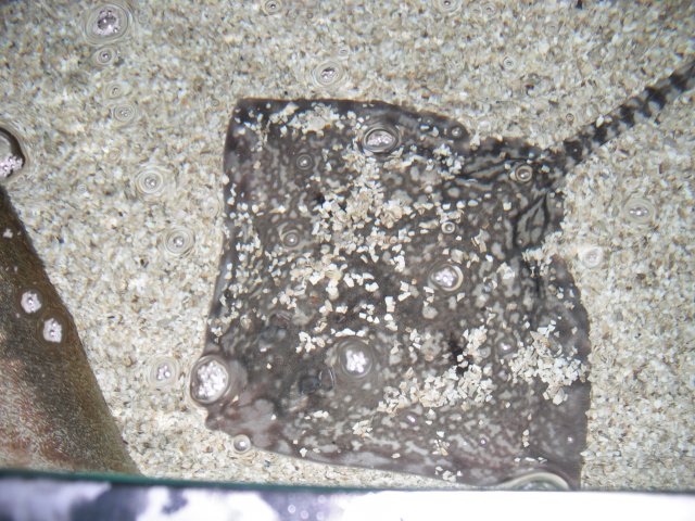 DSCF0039.JPG