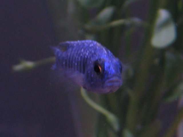 27.JPG 27.JPG