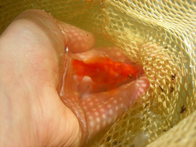 DSCN2012.JPG