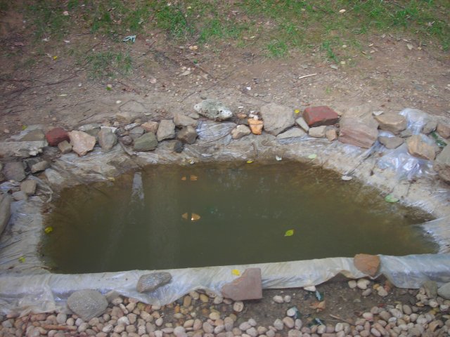 DSCN1983.JPG