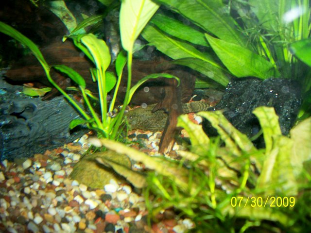 000_3248.jpg