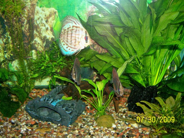 000_3249.jpg