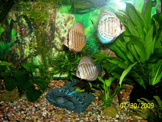 000_3250.jpg