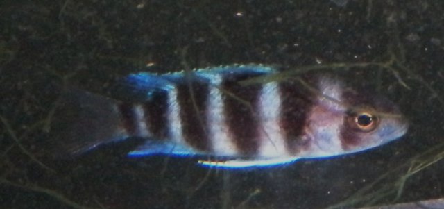 DSCN4893.JPG