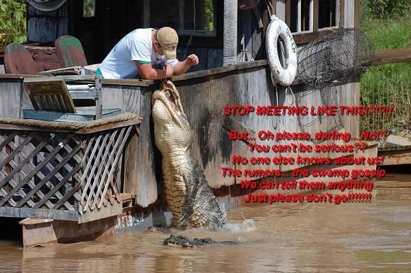 big-gator.jpg