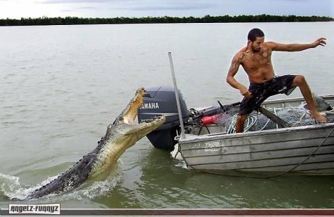 SCARY_GATOR.jpg