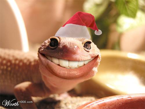 funny_smile.jpg