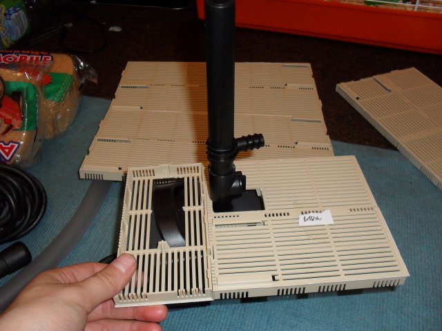SDC10343.JPG