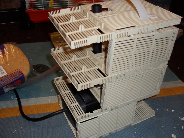 SDC10354.JPG