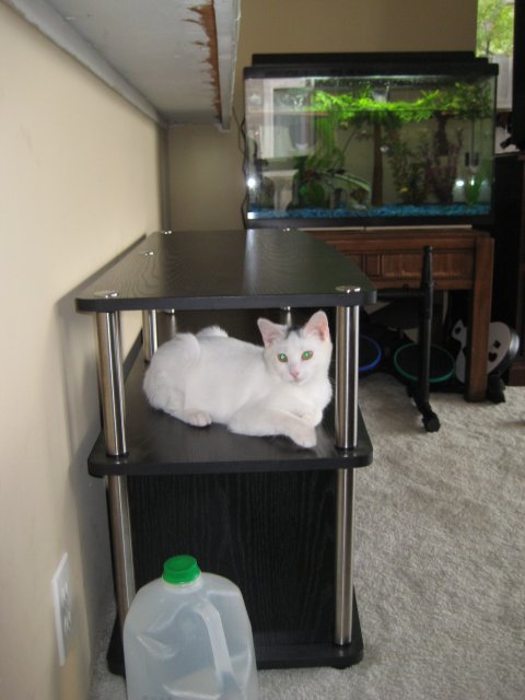 IMG_1933.JPG IMG_1933.JPG