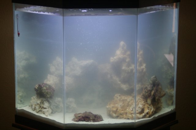New SW Tank 001.jpg