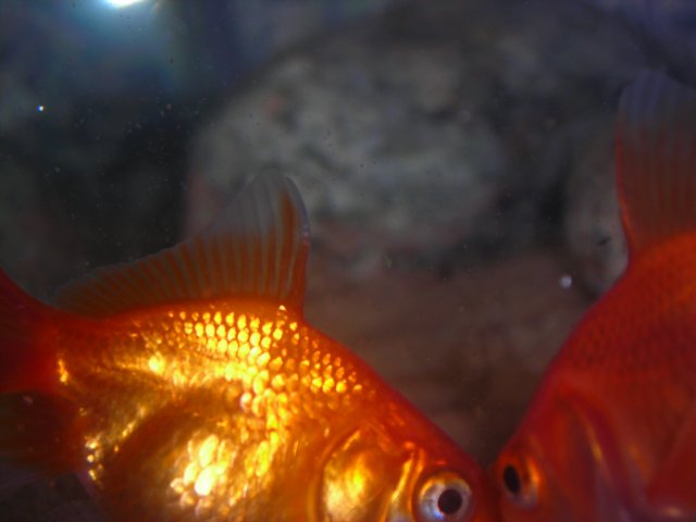 DSCN2023.JPG