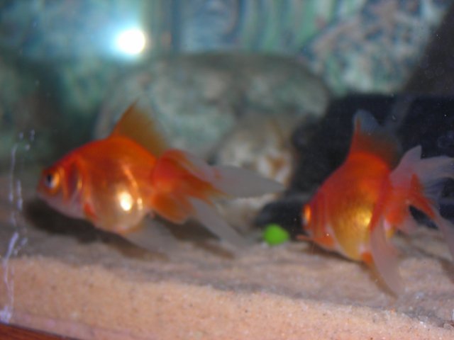 DSCN2025.JPG