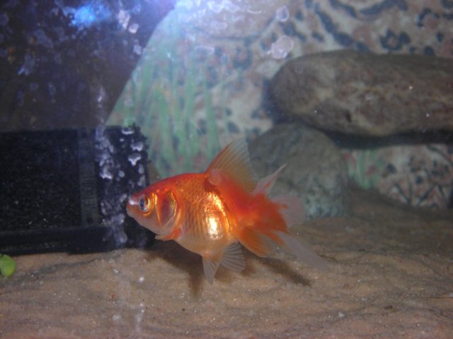 DSCN2026.JPG