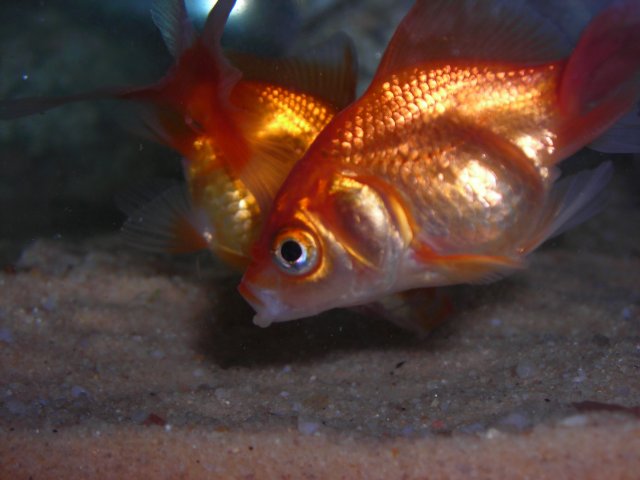 DSCN2027.JPG