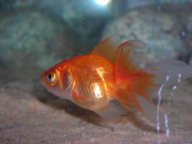 DSCN2031.JPG