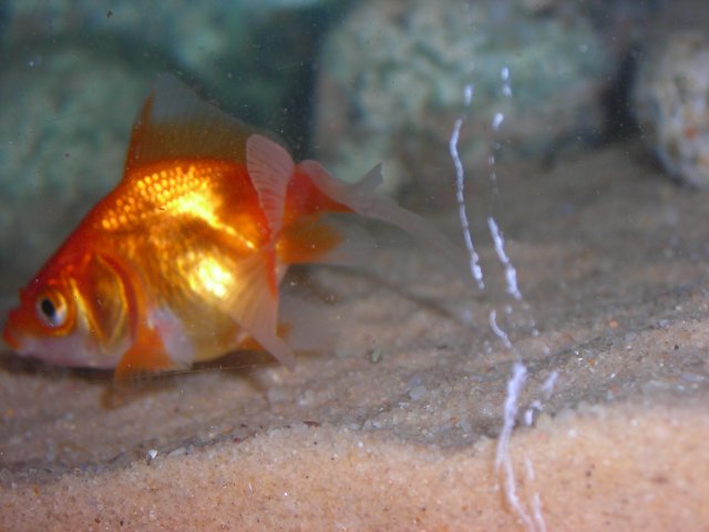 DSCN2032.JPG