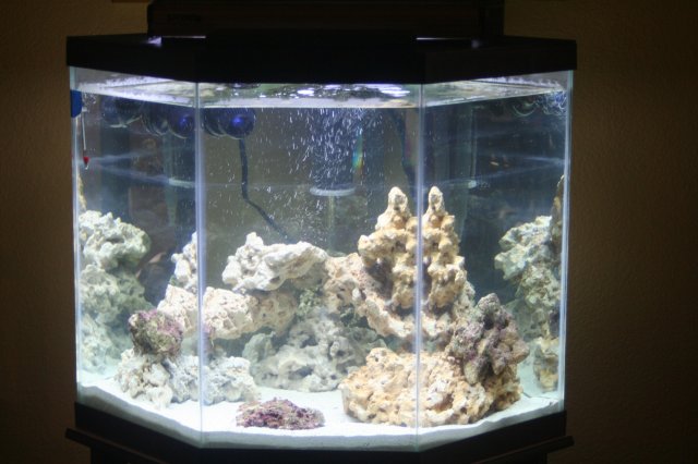 New SW Tank.jpg
