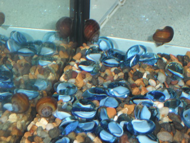 DSCF0002.JPG