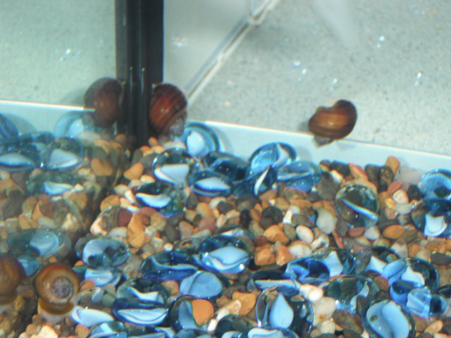 DSCF0003.JPG