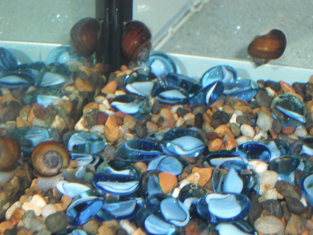 DSCF0004.JPG
