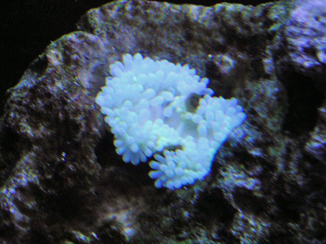 PICT0004.JPG