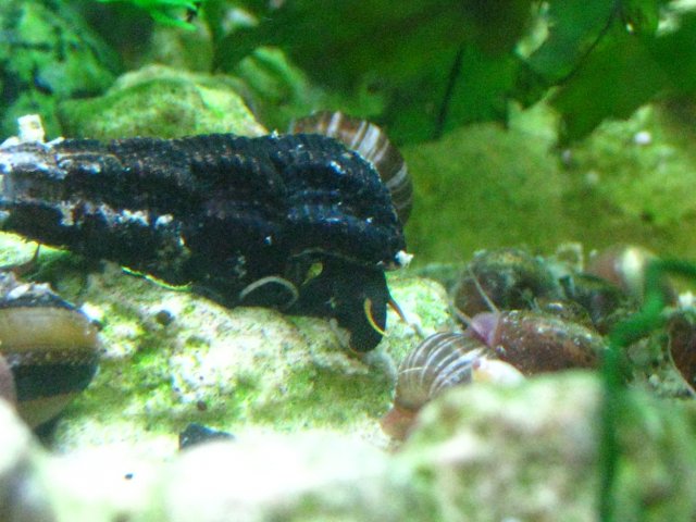IMG_1751.JPG